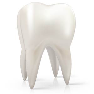 Tooth Graphic